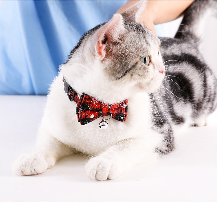 Colar para Cães Pequenos e Gatos