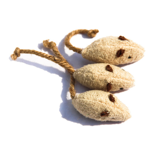 Rato de Catnip para Gatos