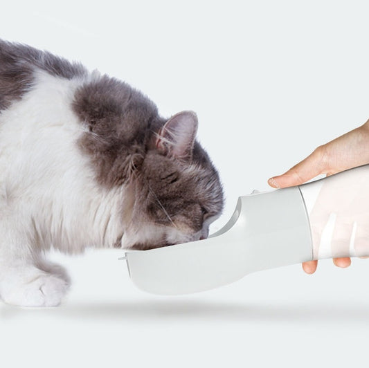 Bebedouro Portátil para Cães – Ideal para Viagens 🐾💧