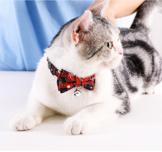 Colar para Cães Pequenos e Gatos