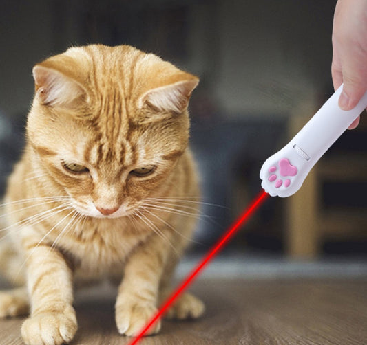 Laser Interativo para Gatos
